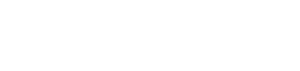IDA Logo